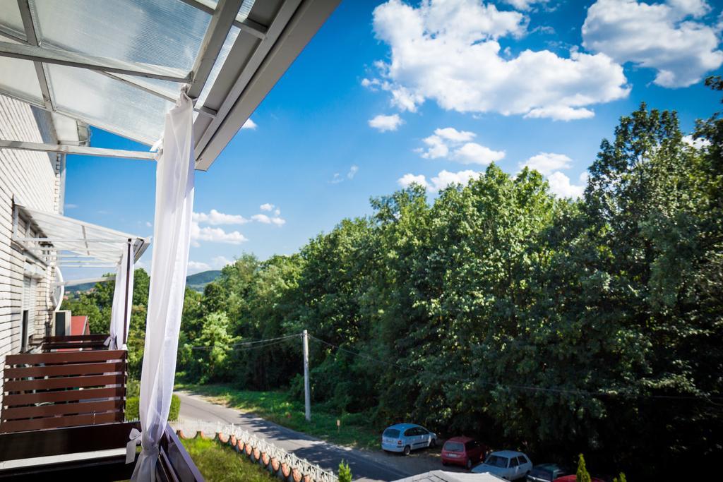 Hotel Danica Vrnjačka Banja Zimmer foto