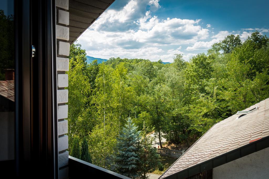 Hotel Danica Vrnjačka Banja Zimmer foto